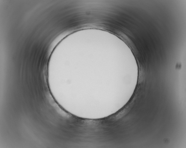 X0000110740812200907131119