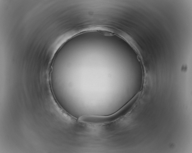 X0000110740813200907131119
