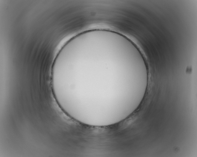X0000110740815200907131119