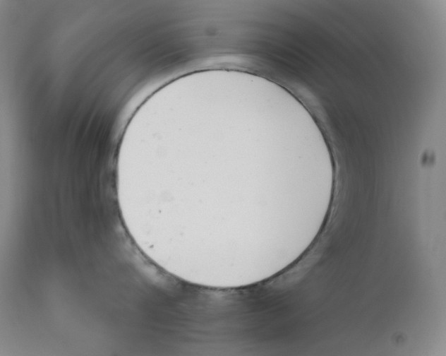 X0000110740816200907131119