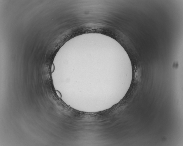X0000110740819200907131119