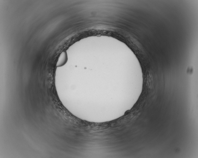 X0000110740821200907131119