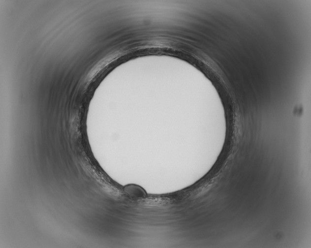 X0000110740826200907131119