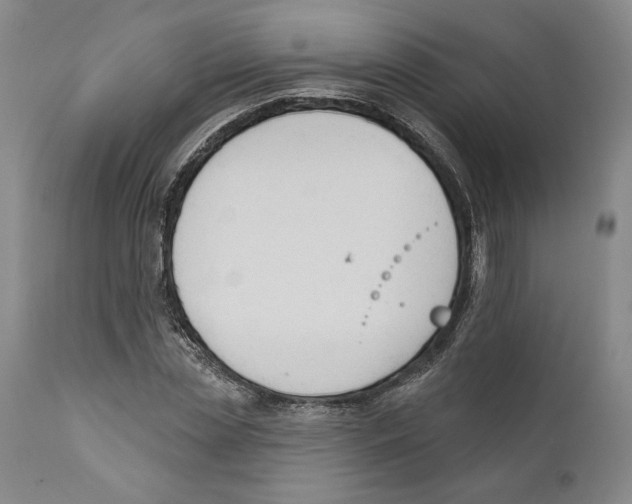 X0000110740829200907131119