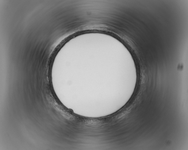 X0000110740830200907131119