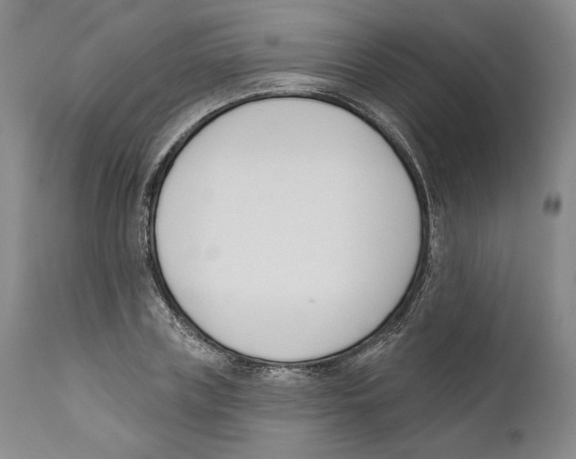 X0000110740835200907131119