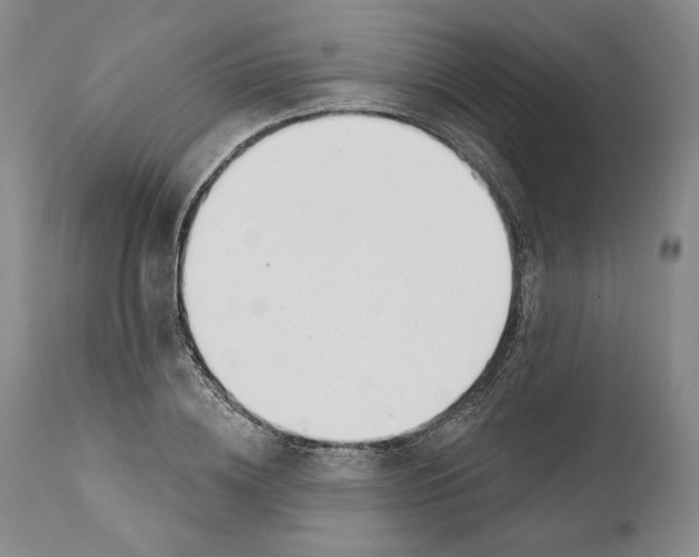 X0000110740836200907131119