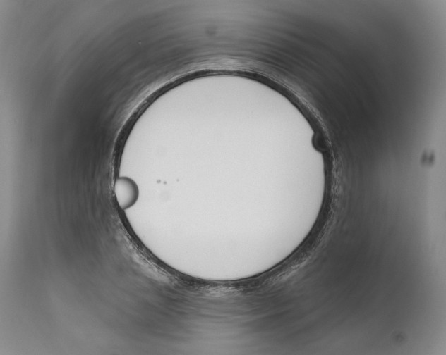 X0000110740837200907131119