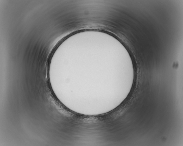 X0000110740838200907131119
