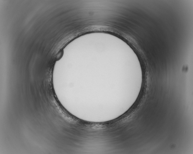 X0000110740841200907131119