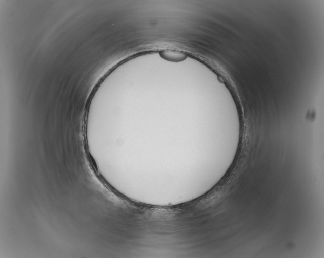 X0000110740847200907131119