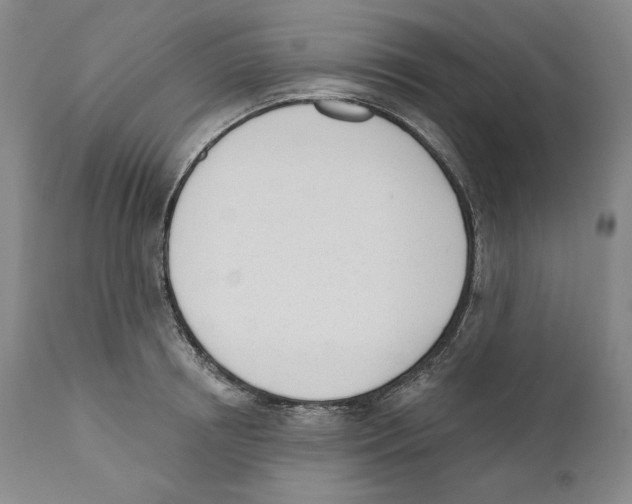 X0000110740850200907131119