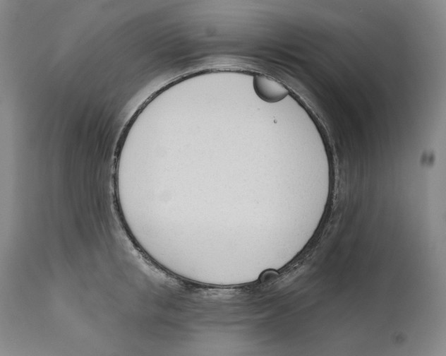 X0000110740853200907131119