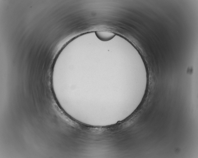 X0000110740854200907131119