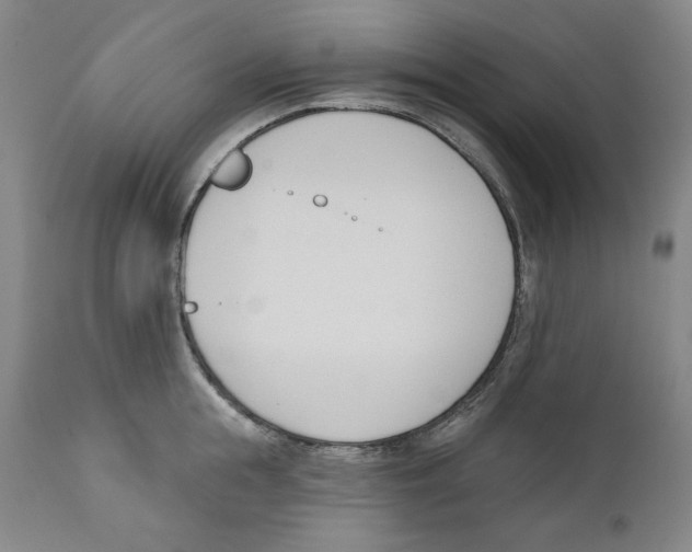 X0000110740855200907131119