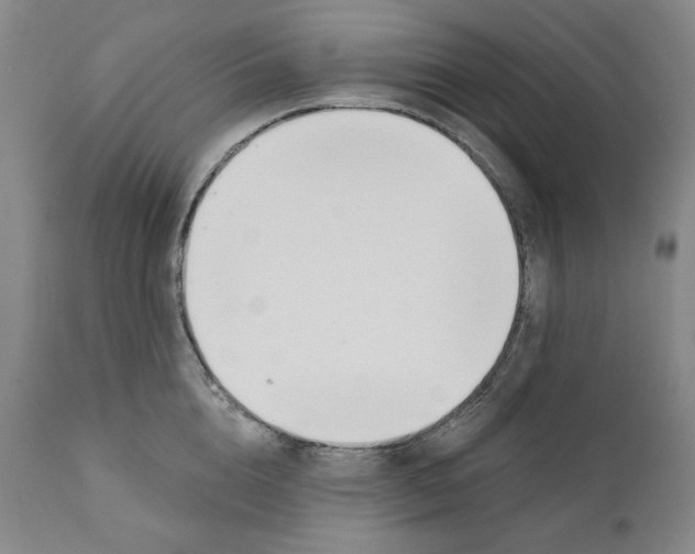 X0000110740856200907131119