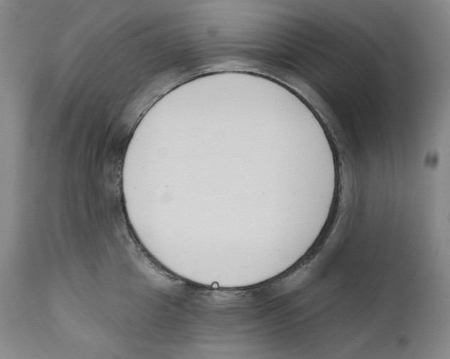 X0000110740857200907131119