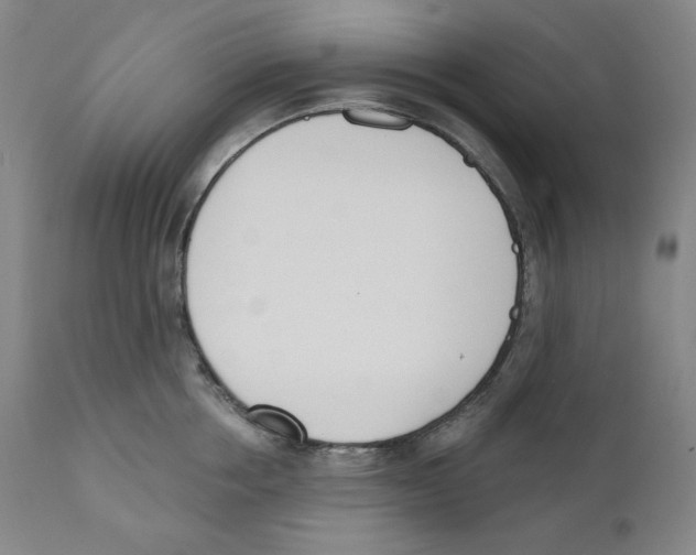 X0000110740858200907131119