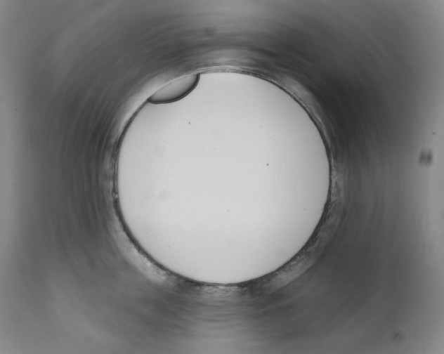 X0000110740859200907131119