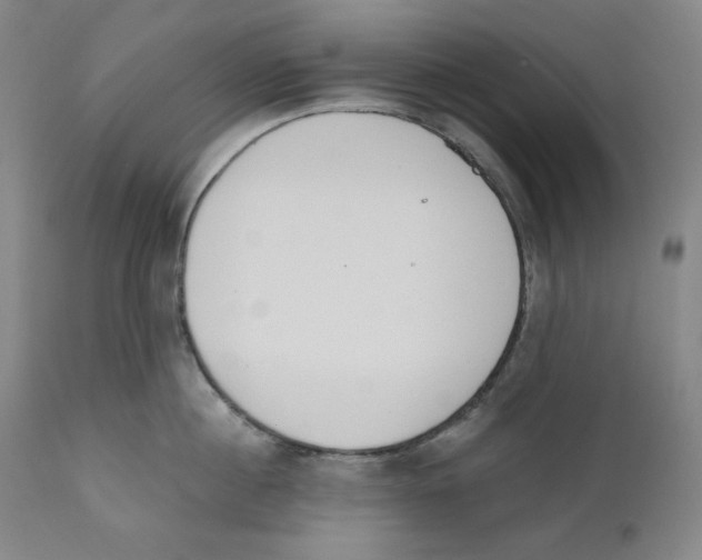 X0000110740860200907131119