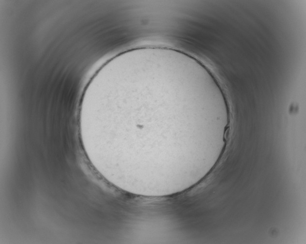 X0000110740864200907131119