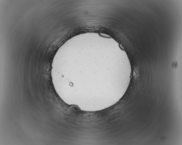 X0000110740867200907131119