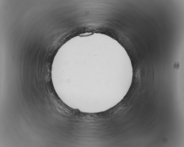 X0000110740868200907131119