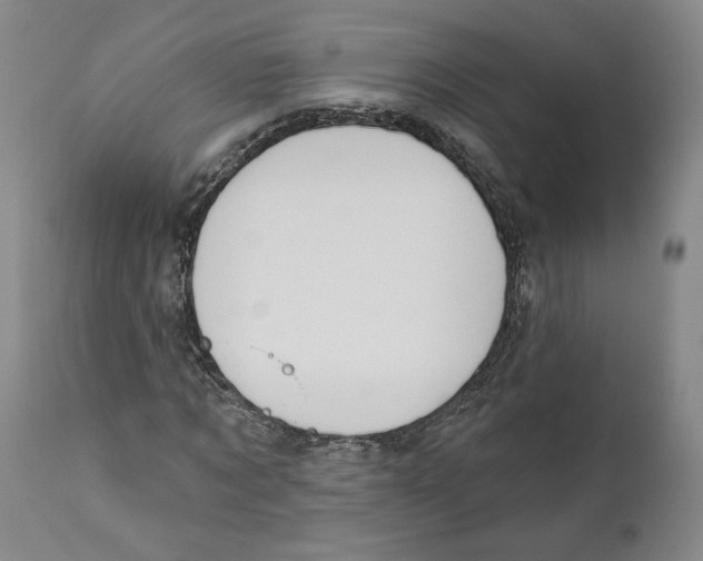 X0000110740869200907131119