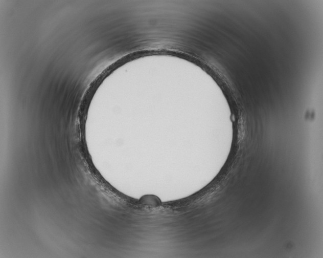 X0000110740876200907131119