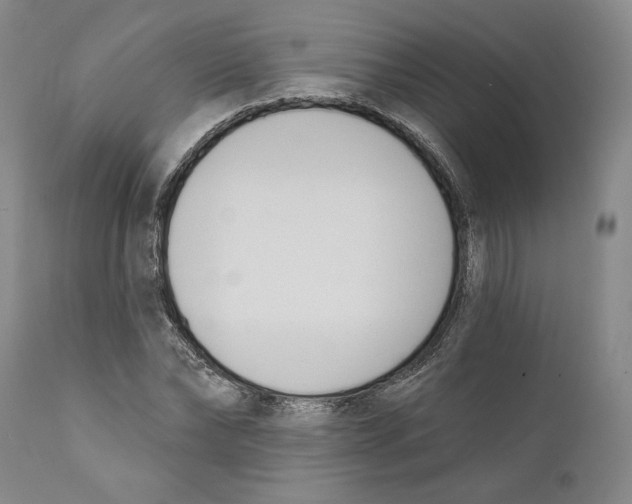 X0000110740878200907131119