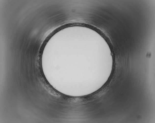 X0000110740879200907131119