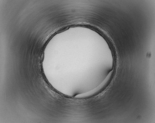 X0000110740881200907131119