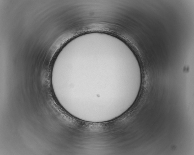 X0000110740882200907131119