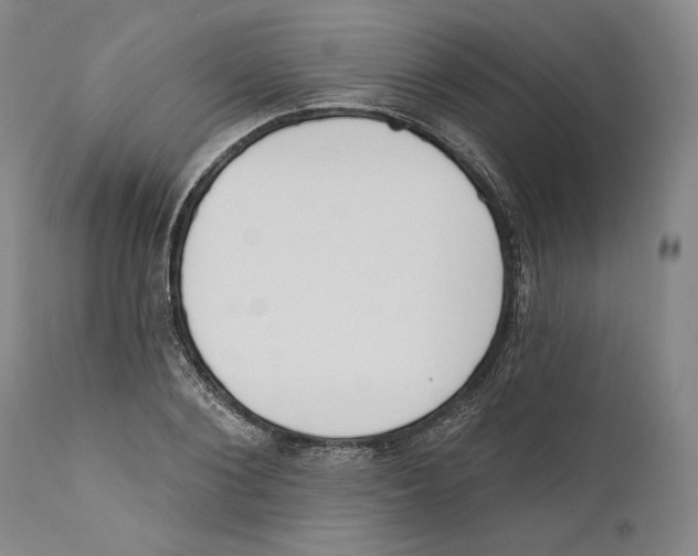 X0000110740884200907131118