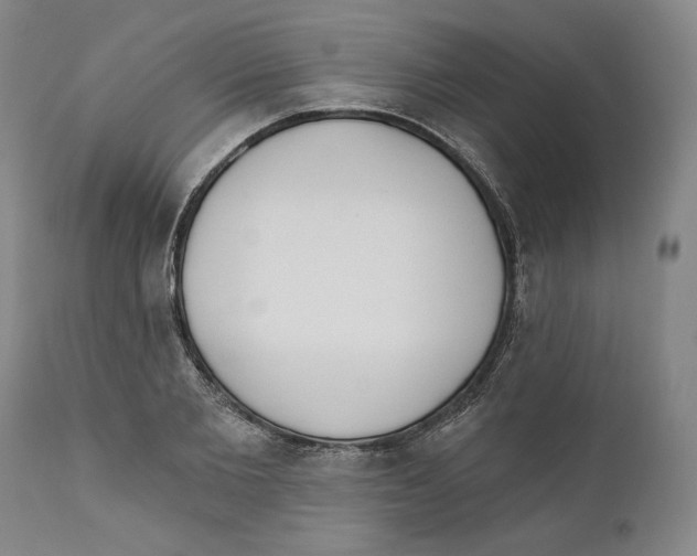 X0000110740885200907131118