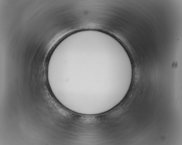 X0000110740886200907131118