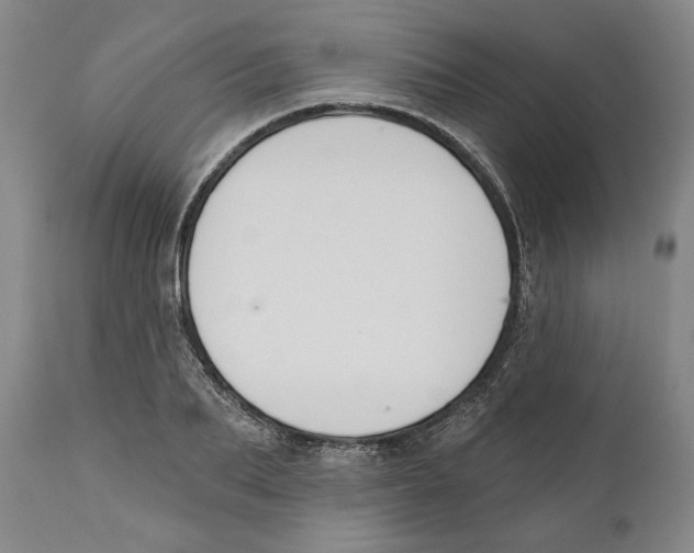 X0000110740887200907131118