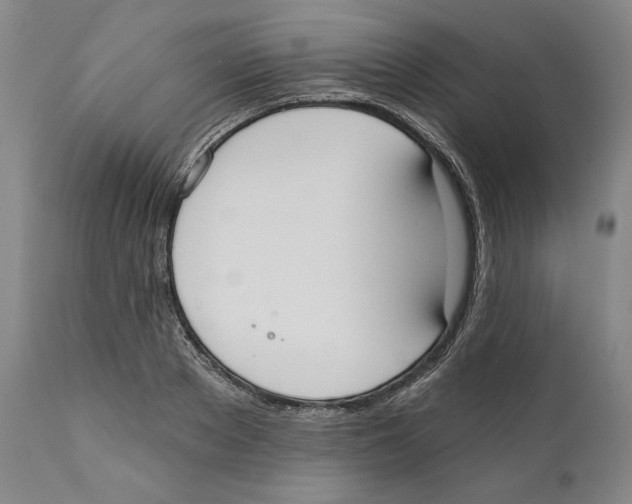 X0000110740889200907131118