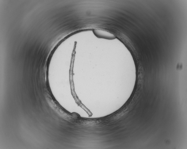 X0000110740892200907131118