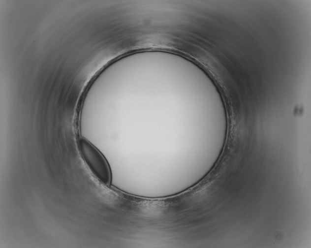 X0000110740893200907131118