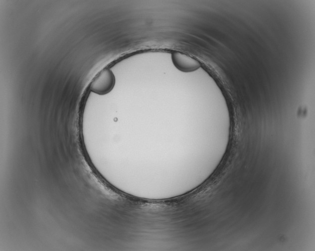 X0000110740894200907131118