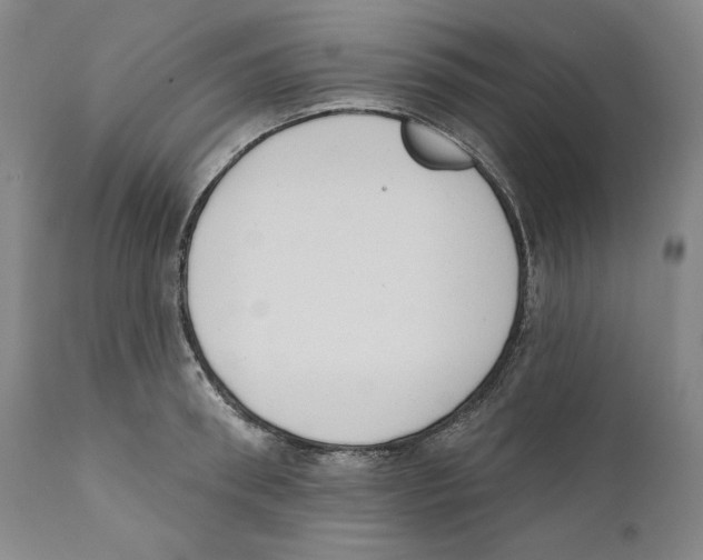 X0000110740898200907131118