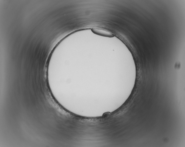 X0000110740900200907131118