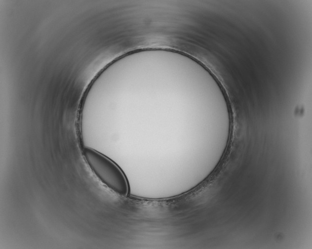 X0000110740901200907131118