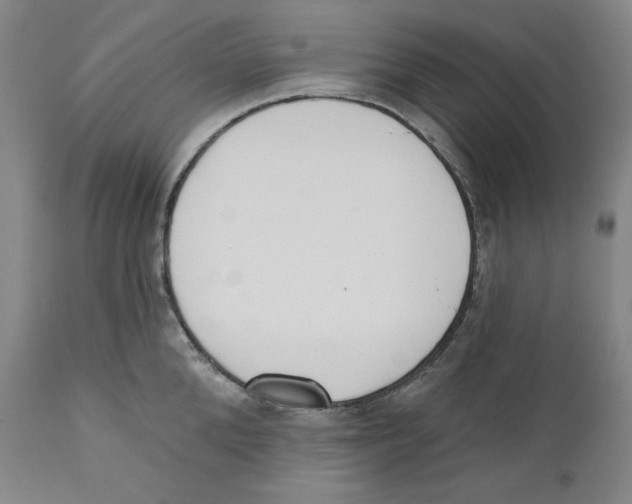 X0000110740904200907131118