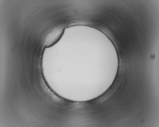 X0000110740906200907131118