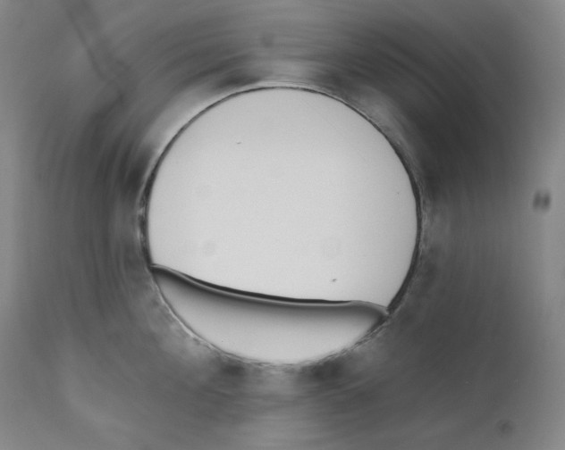 X0000110740908200907131118