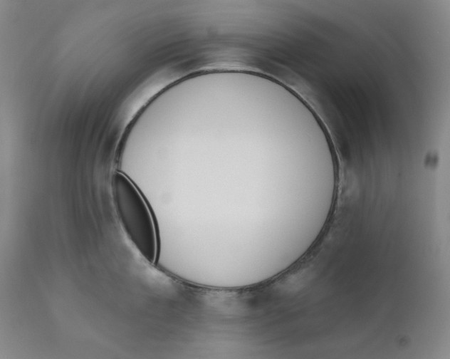 X0000110740909200907131118