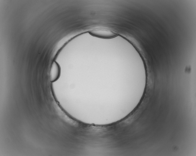 X0000110740910200907131118