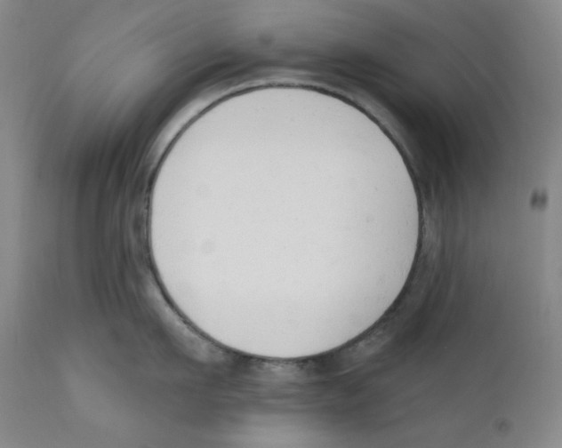 X0000110740911200907131118